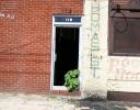 Catalpa seedling grows in a doorway, old downtown Rocky Mount, North Carolina