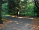 Path Choices, Sarsparillo Trail, Ottawa, ON