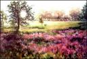 Loosestrife and Oak tree, near Fallowfield, Ontario, Canada ~ Acrylics on canvas, 41 x 58 x 2, $1,100.00