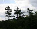 Ontario skyline near Thousand Islands Canada-U.S. border