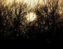 Early Spring Sunset, Lewisville, Texas