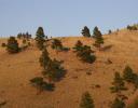 Montana landscape