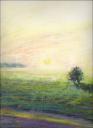 Arkansas July 6:45 a.m. 14 x 11 Oil Pastels $550.00