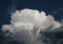 Trees contribute to production of oxygen as a byproduct of photosynthesis, where sugars helping them grow are converted from carbon dioxide. Photo: thunderhead, 2006 in Lewisville, Texas