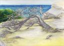 Weathered - Soil erosion along The Great Ocean Road, eastern Australian coast  - 11 x 14 Oil Pastels