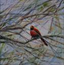 Cardinal ~ Acrylics on canvas, 24 x 24 with unobtrusive narrow frame.$250.00