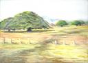 Costa Rican Grasslands - Mattipaul trees (Ailanthus triphysa), Costa Rica - 11 x 14 Oil Pastels