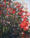 Flowering Eucalypt ~ large bush, South Australia 20 x 16 Acrylics on canvas $550.00