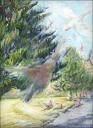 Galahs in Traffic (Norfolk Island Pine), South Australia ~ Oil Pastels on paper ~ 14 x 11 inches