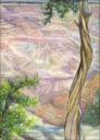 Grand Canyon, Arizona ~ 14 x 11 Oil Pastels on paper $550.00