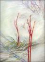 January Thaw, Ontario, Canada - 14 x 11 Oil Pastels on paper $550.00