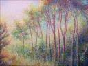 It’s a New Day ~ Dry Pastels on charcoal paper ~ 19.5 x 25.5, framed 23 x 27 $750.00
