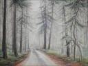 Salt Spring Island B.C., Canada ~ Graphite, Colored Pencil, Dry Pastels on paper ~ 18 x 24 inches, framed size 23 x 27