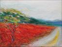 Speeding By The Poppies (Hwy 40 Tennessee) ~ 11 x 14 inches $550.00
