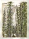 Takkakaw Falls ~ Graphite, watercolors on paper ~ 11 x 14 inches ~ study only