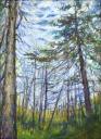Wild Canada ~ Oil Pastels on paper 14 x 11 inches, framed size 26 x 22