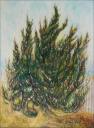 Windswept, North Carolina ~ mainly Oil Pastel on paper, 24 x 18, framed 27 x 23